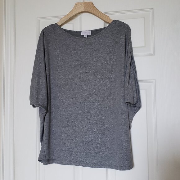 A Pea in the Pod Silver Metallic Maternity Top - Size Medium - EUC - Picture 1 of 9